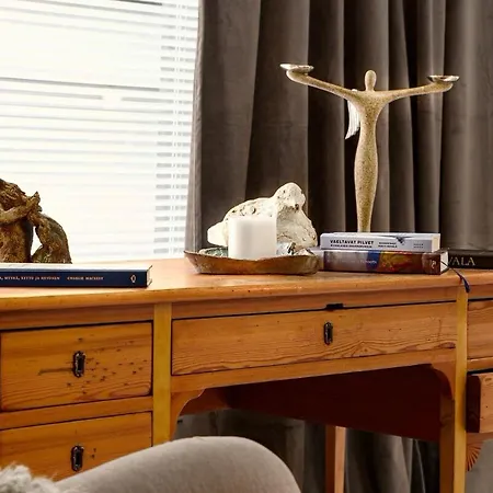 Finnish Swan By Lapland Host Rovaniemi