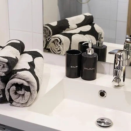 Finnish Swan By Lapland Host Rovaniemi