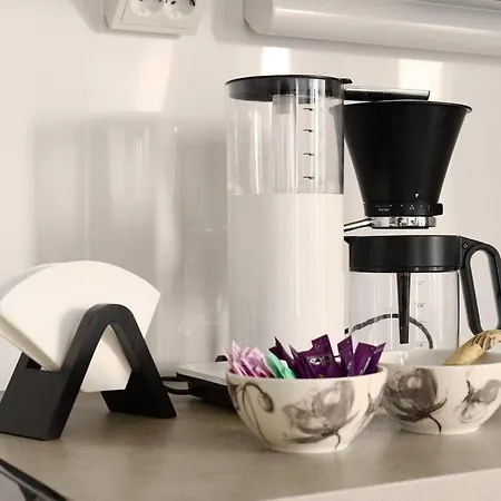 Finnish Swan By Lapland Host *