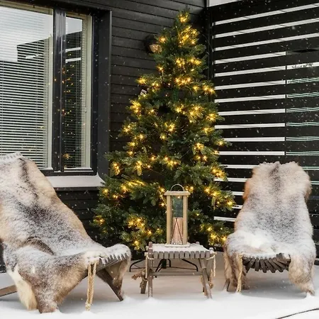 Finnish Swan By Lapland Host *