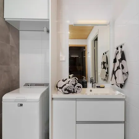 Finnish Swan By Lapland Host Rovaniemi