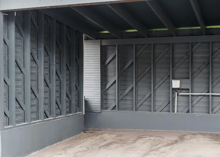 Finnish Swan By Lapland Host * Ροβανιέμι