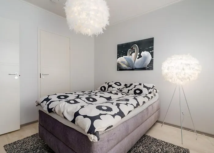 Finnish Swan By Lapland Host