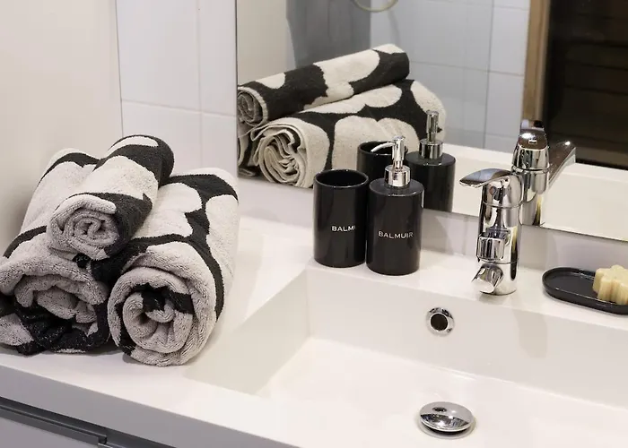 Finnish Swan By Lapland Host Ροβανιέμι