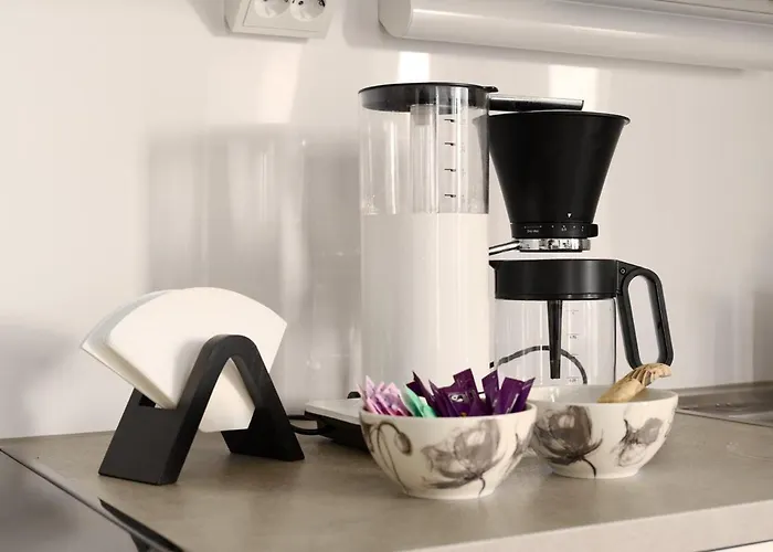 Finnish Swan By Lapland Host *