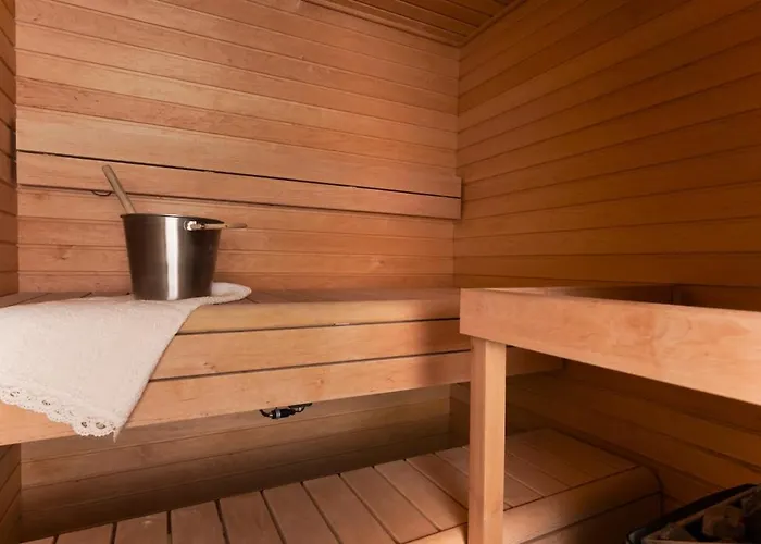 Finnish Swan By Lapland Host *